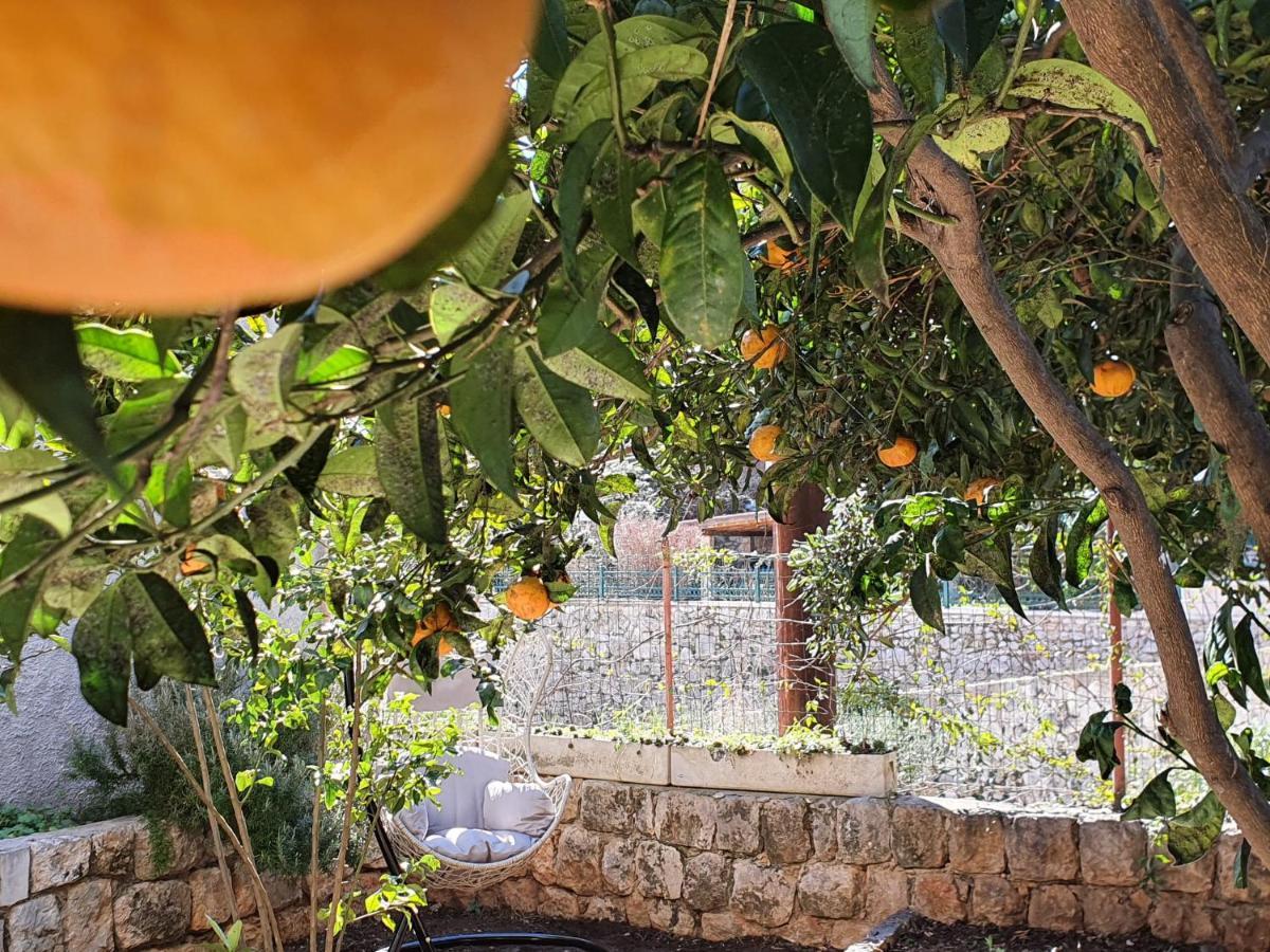 Barbara'S Garden Apartment Dubrovnik Eksteriør billede